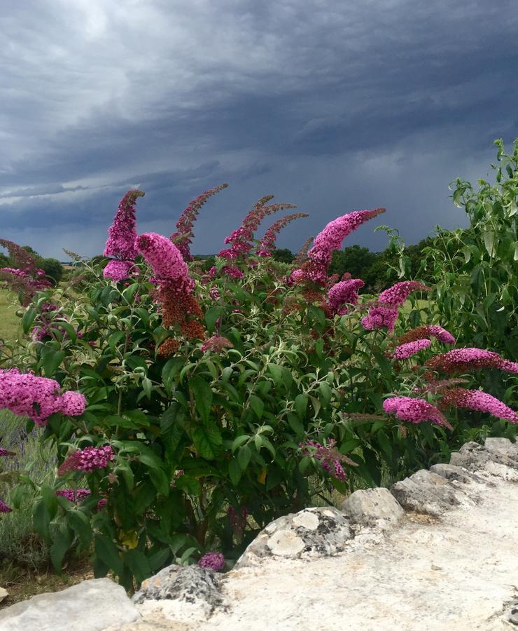 Podere Papilio Alberobello Luaran gambar